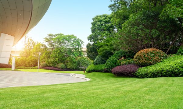 Commercial Lawn Mowing in Largo