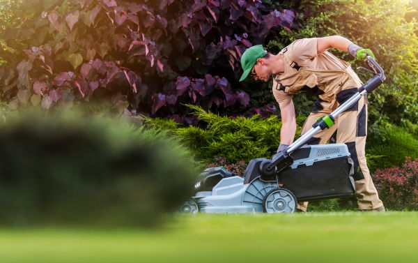 Yard Care Service in Largo