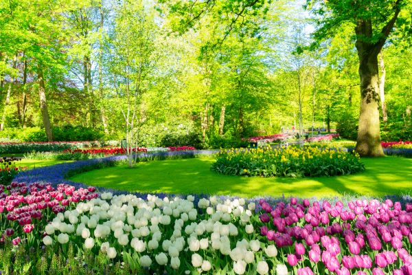 Spring Lawn Care in Largo