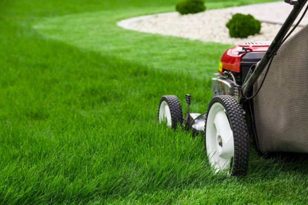 Yard Mowing in Largo