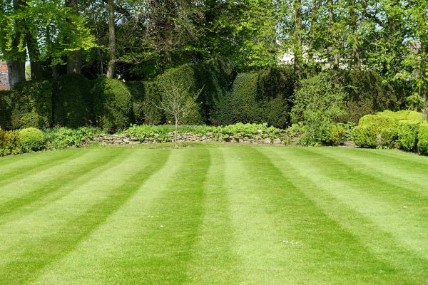 Grass Care Service in Largo