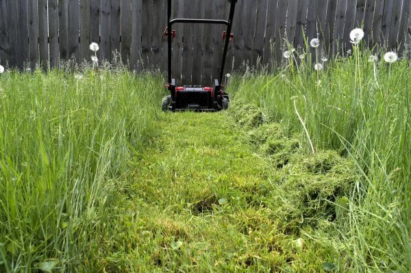 High Grass Mowing in Largo