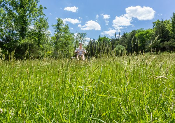 Long Grass Mowing in Largo