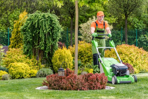 Commercial Yard Maintenance in Largo