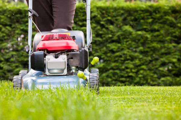 Grass Trimming Service in Largo