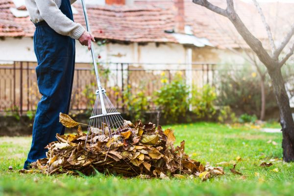Routine Lawn Maintenance in Largo