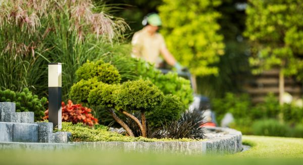Residential Yard Maintenance in Largo