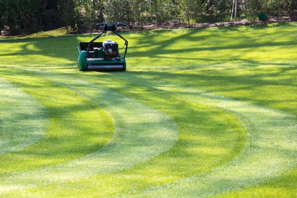 Business Lawn Mowing in Largo