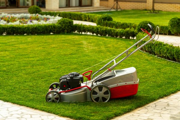 Business Grass Cutting in Largo