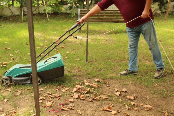 Leaves Mowing in Largo