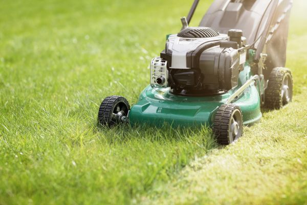 Spring Grass Trimming in Largo
