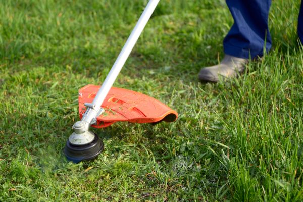 Lawn Weed Whacking in Largo
