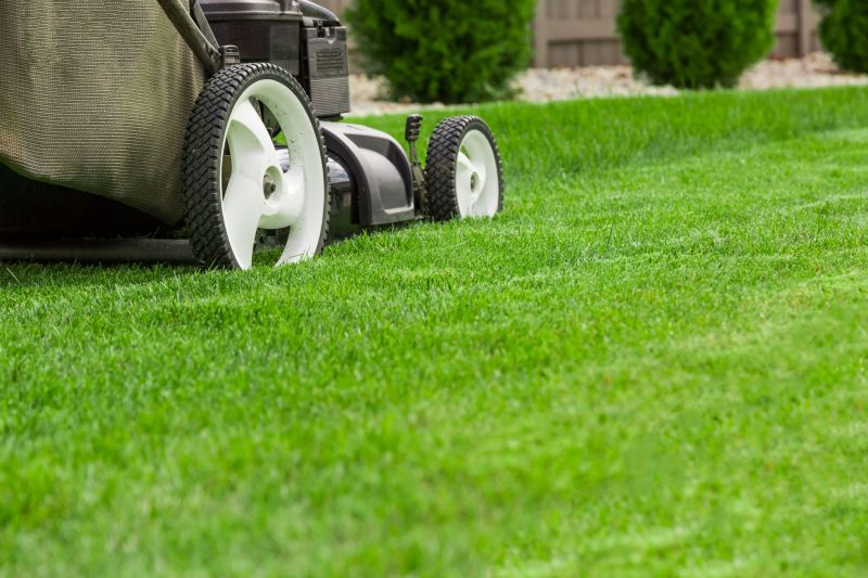 Commercial Lawn Mowing