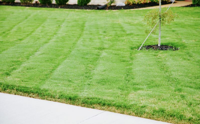 Trimmed Grass