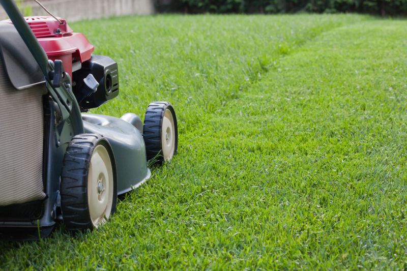 Seasonal Lawn Equipment