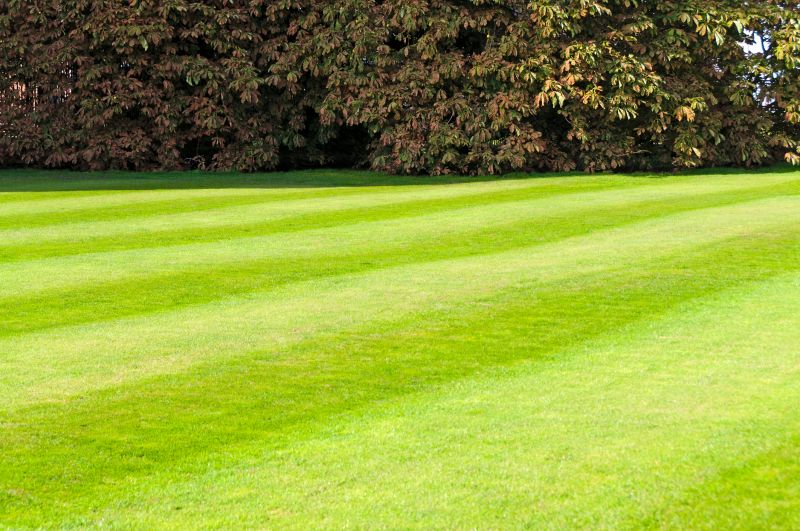 Lawn with Well-Defined Borders